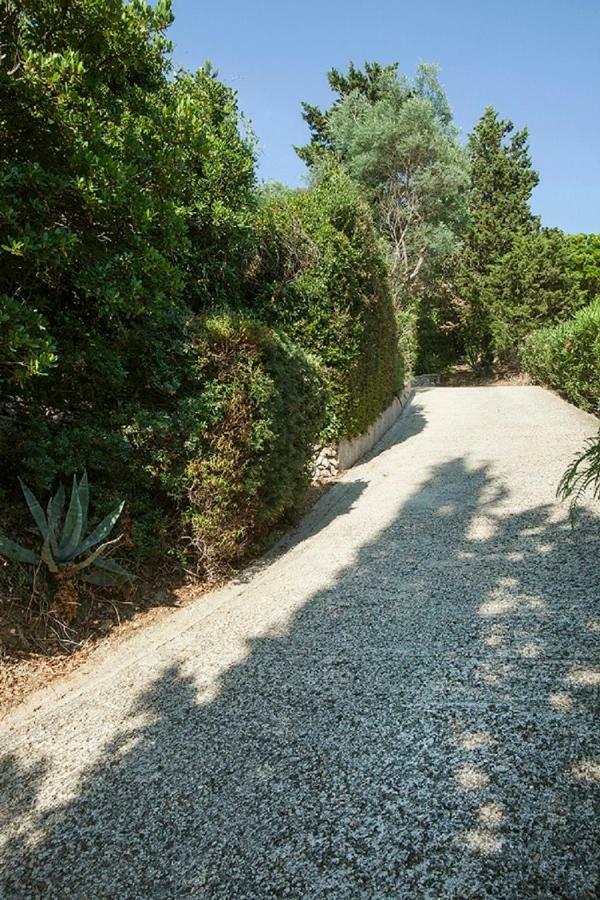 Villa Provencale Avec Piscine-56 La Garonnette-Plage Dış mekan fotoğraf